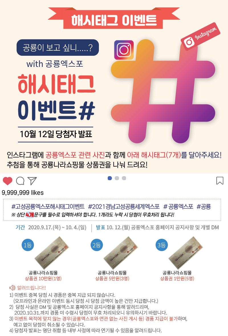 해당파일이미지