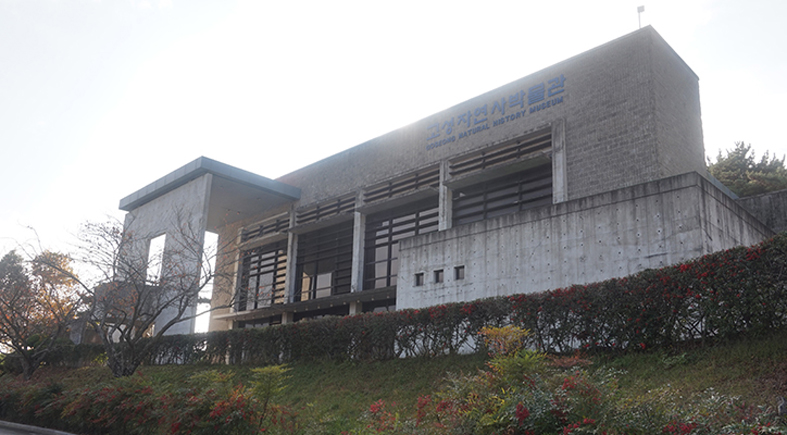 고성 자연사 박물관